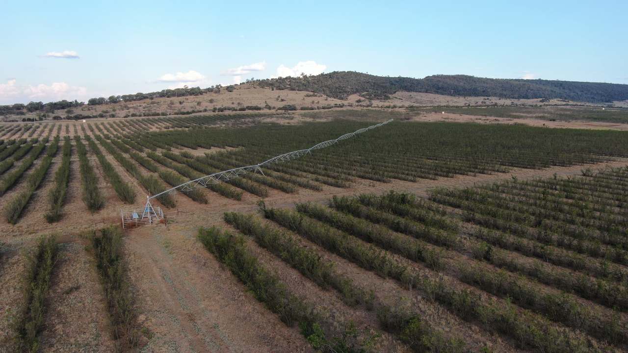 12605 Eidsvold Theodore Road, Camboon Auction by Farmbuy.com - image 10
