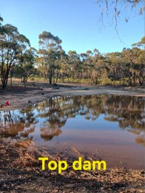 1/498 Caralulup Road, Lamplough For Sale by Farmbuy.com - image 2