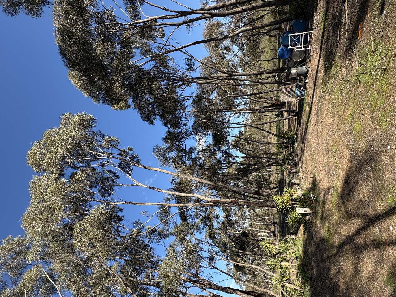 1/498 Caralulup Road, Lamplough For Sale by Farmbuy.com - image 5