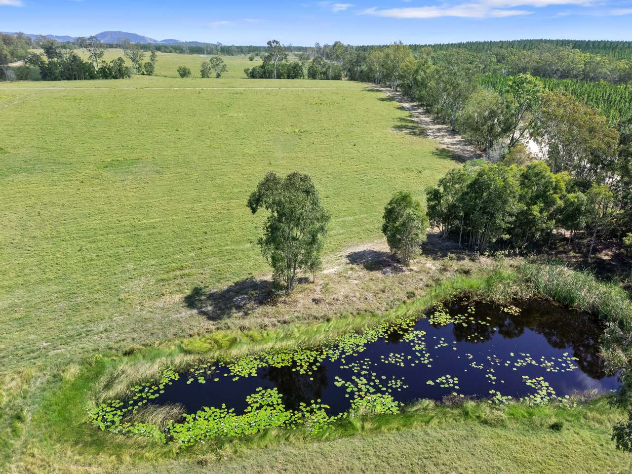 645 Counter Road, Goomboorian For Sale by Farmbuy.com - image 11