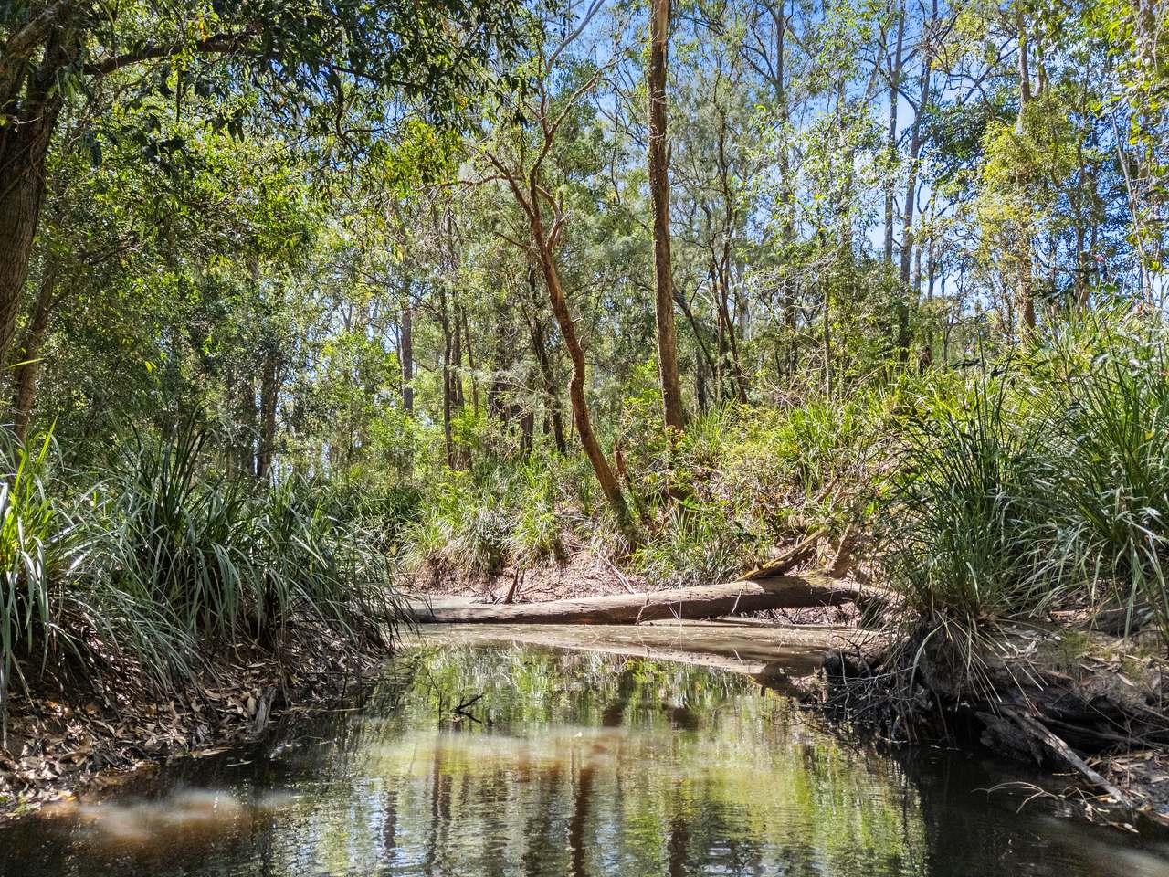 645 Counter Road, Goomboorian For Sale by Farmbuy.com - image 14