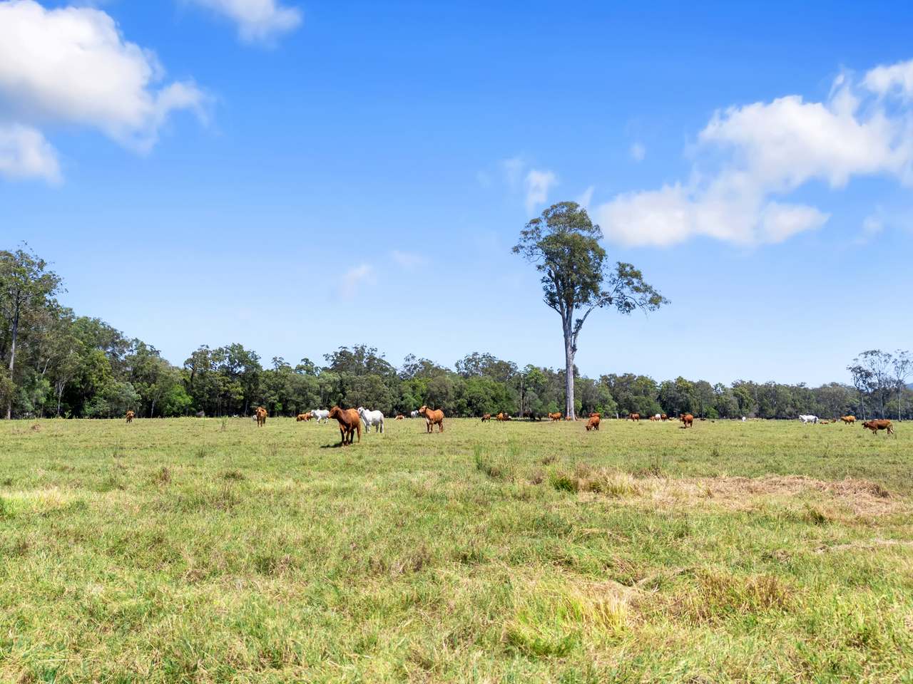 645 Counter Road, Goomboorian For Sale by Farmbuy.com - image 17