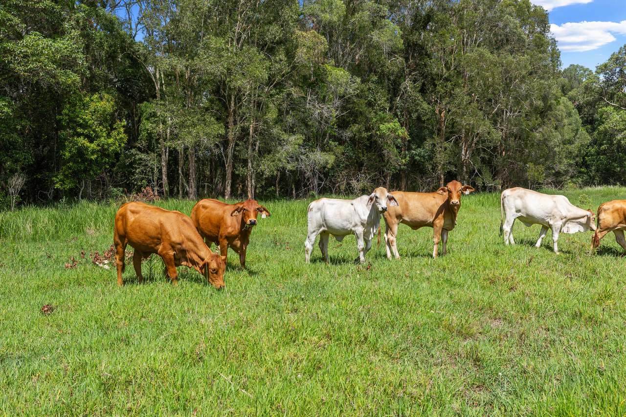 645 Counter Road, Goomboorian For Sale by Farmbuy.com - image 7