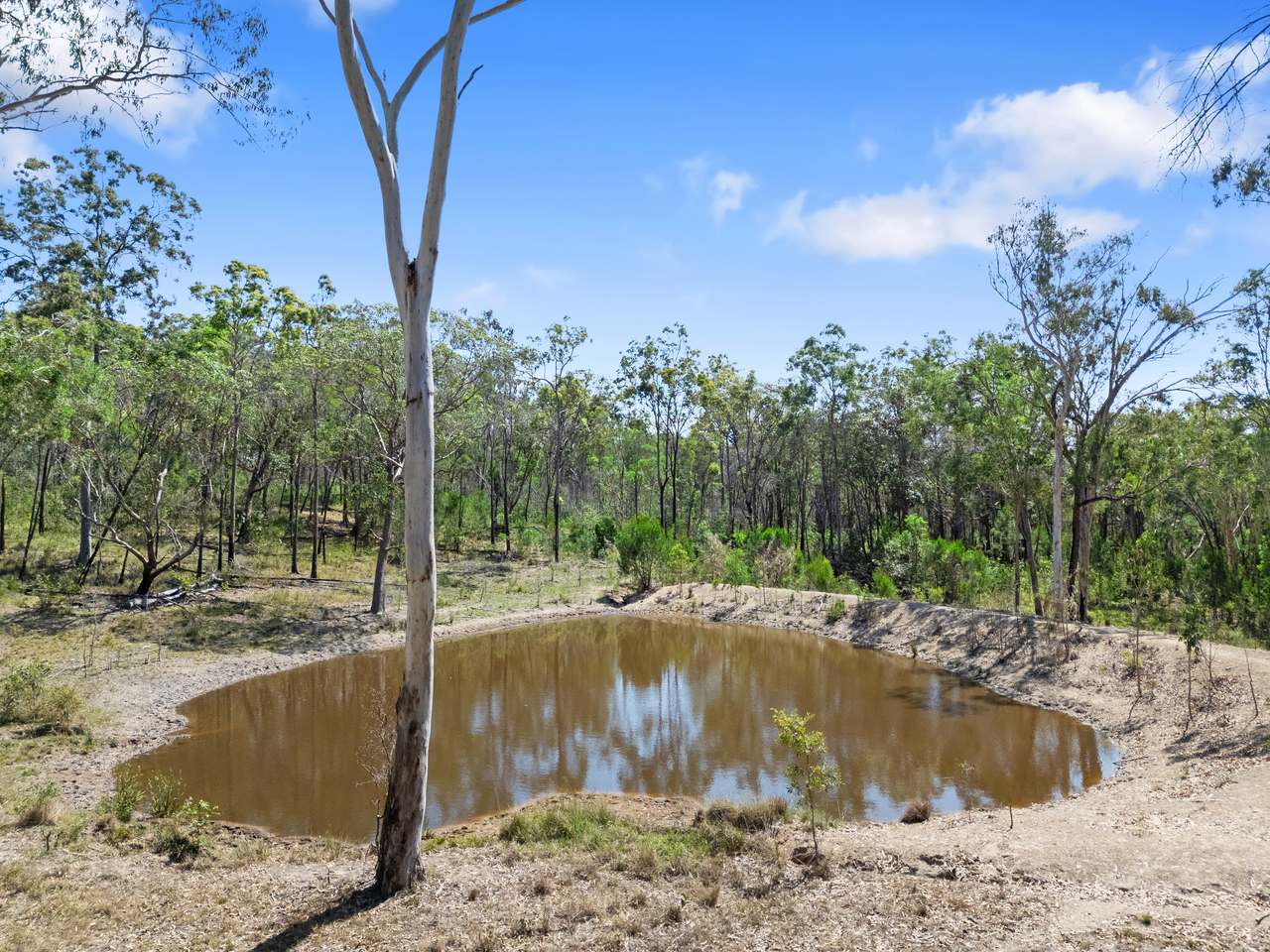 645 Counter Road, Goomboorian For Sale by Farmbuy.com - image 16