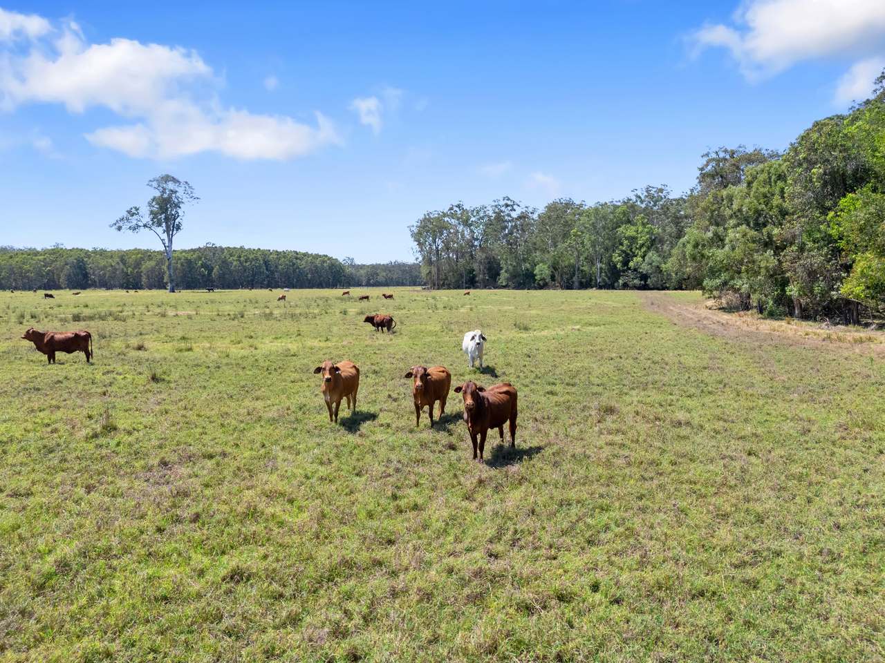 645 Counter Road, Goomboorian For Sale by Farmbuy.com - image 18