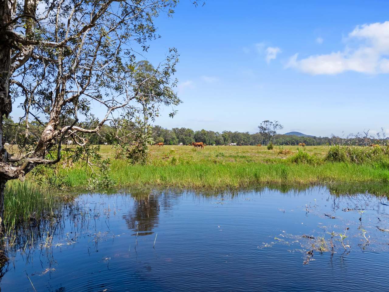 645 Counter Road, Goomboorian For Sale by Farmbuy.com - image 22