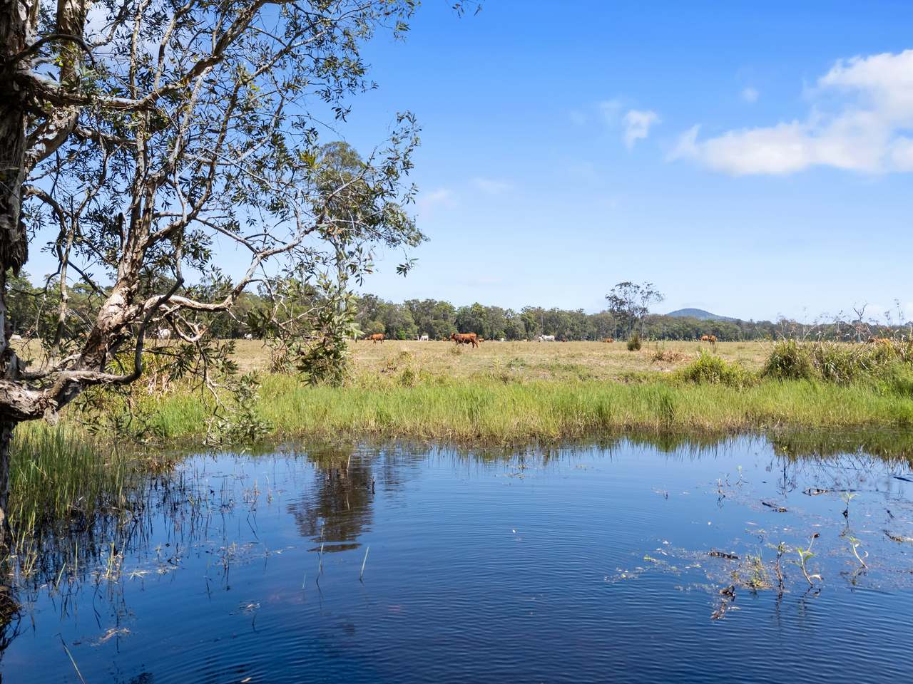 645 Counter Road, Goomboorian For Sale by Farmbuy.com - image 17