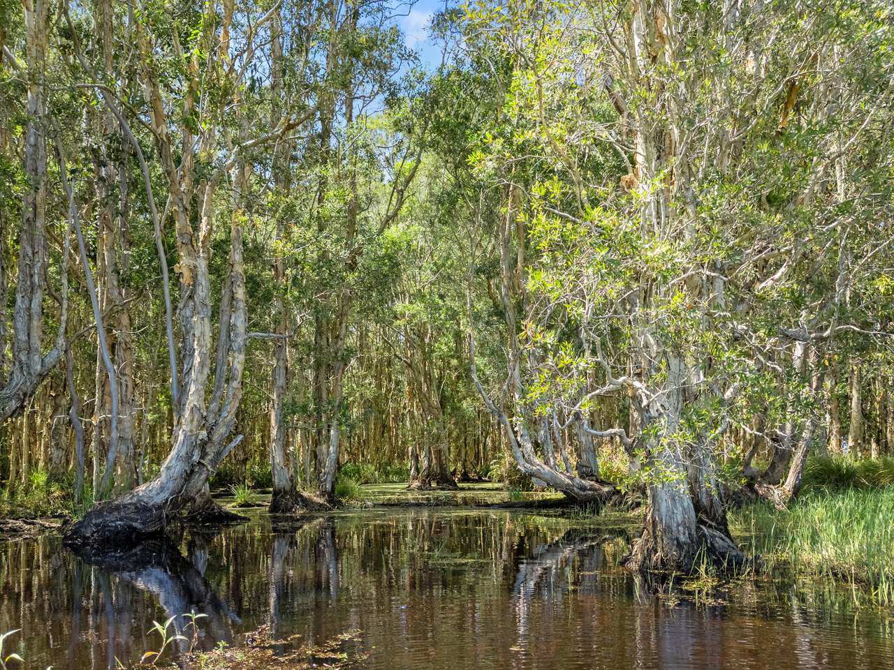 645 Counter Road, Goomboorian For Sale by Farmbuy.com - image 21