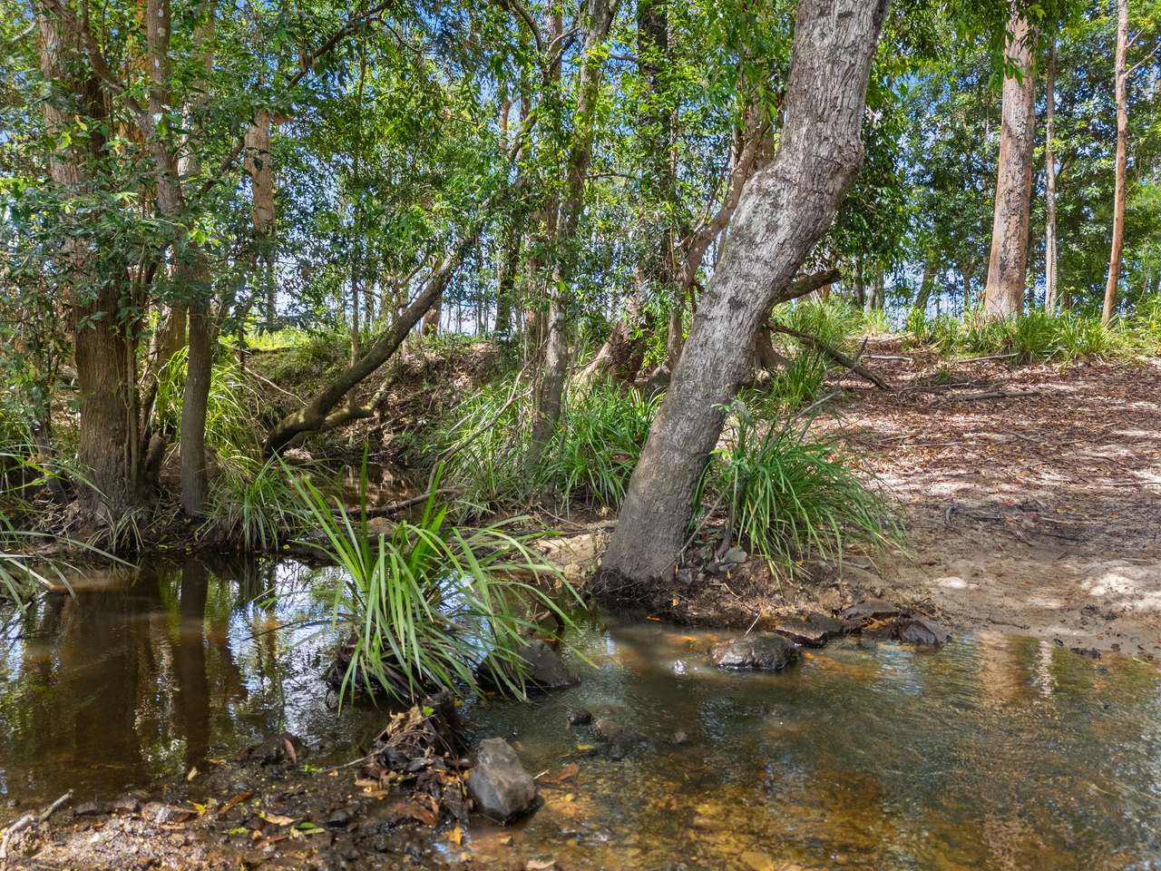 645 Counter Road, Goomboorian For Sale by Farmbuy.com - image 24