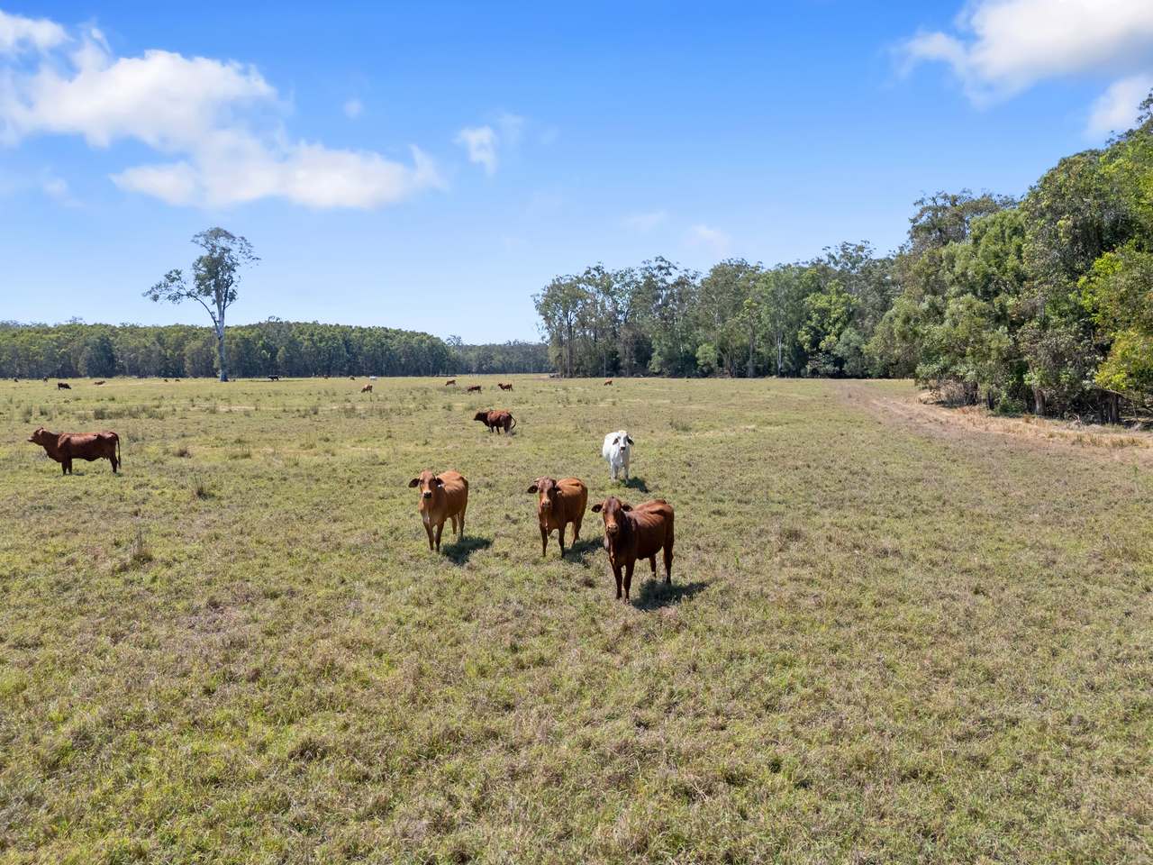 645 Counter Road, Goomboorian For Sale by Farmbuy.com - image 12
