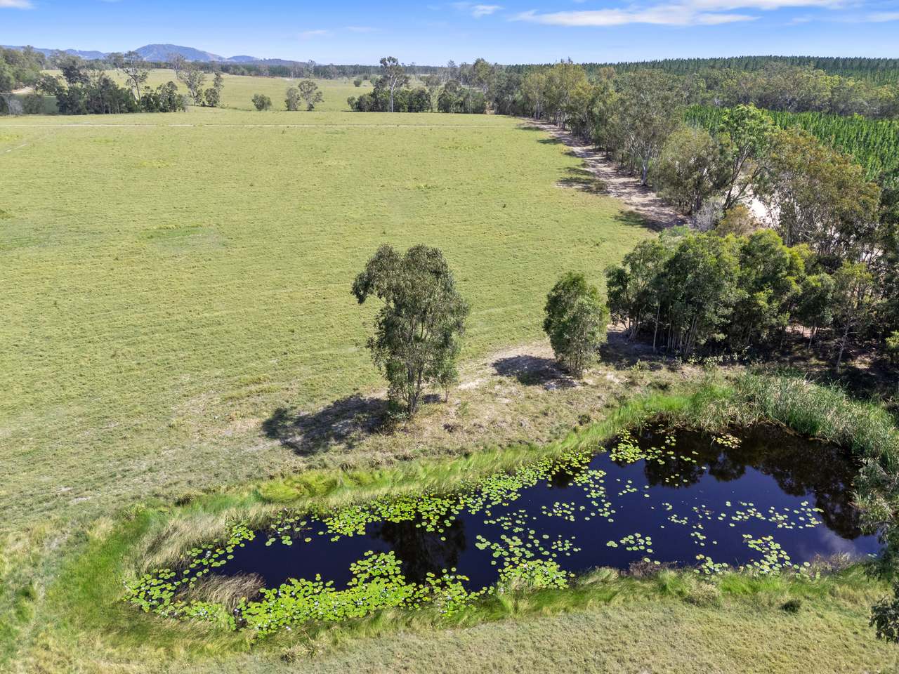 645 Counter Road, Goomboorian For Sale by Farmbuy.com - image 4