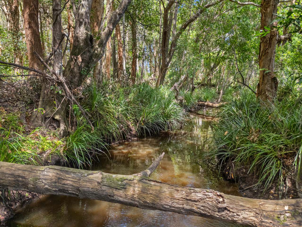 645 Counter Road, Goomboorian For Sale by Farmbuy.com - image 26