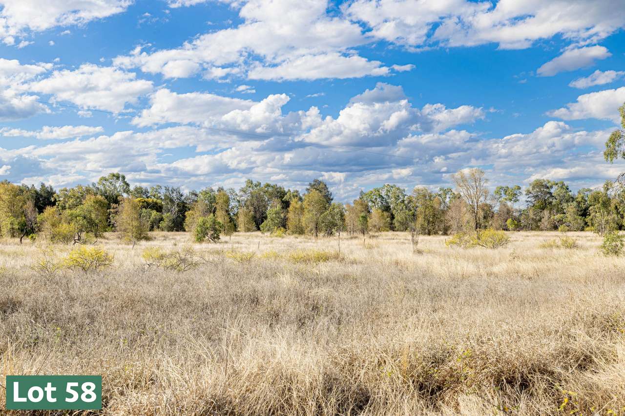 Gregory Highway, Capella Auction by Farmbuy.com - image 17