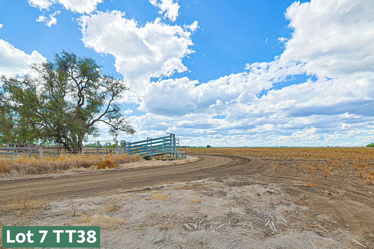 Gregory Highway, Capella Auction by Farmbuy.com - image 18