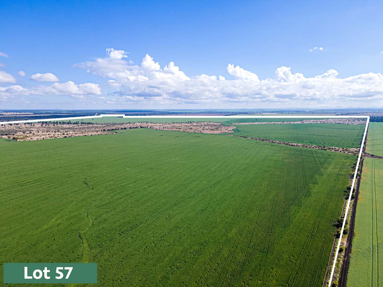 Gregory Highway, Capella Auction by Farmbuy.com - image 3