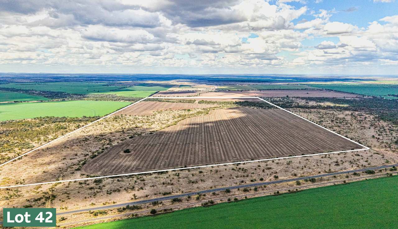 Gregory Highway, Capella Auction by Farmbuy.com - image 2