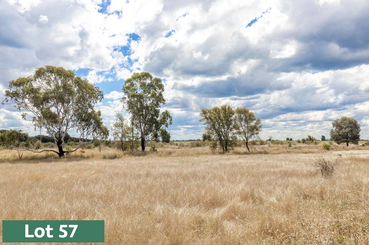 Gregory Highway, Capella Auction by Farmbuy.com - image 5