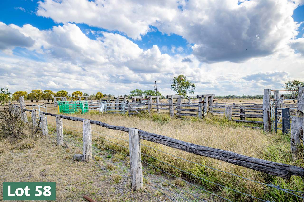 Gregory Highway, Capella Auction by Farmbuy.com - image 16