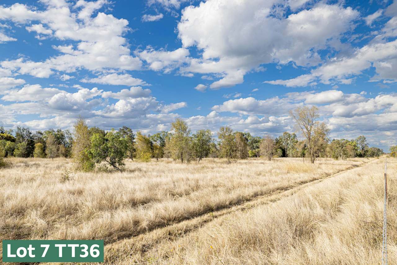 Gregory Highway, Capella Auction by Farmbuy.com - image 10