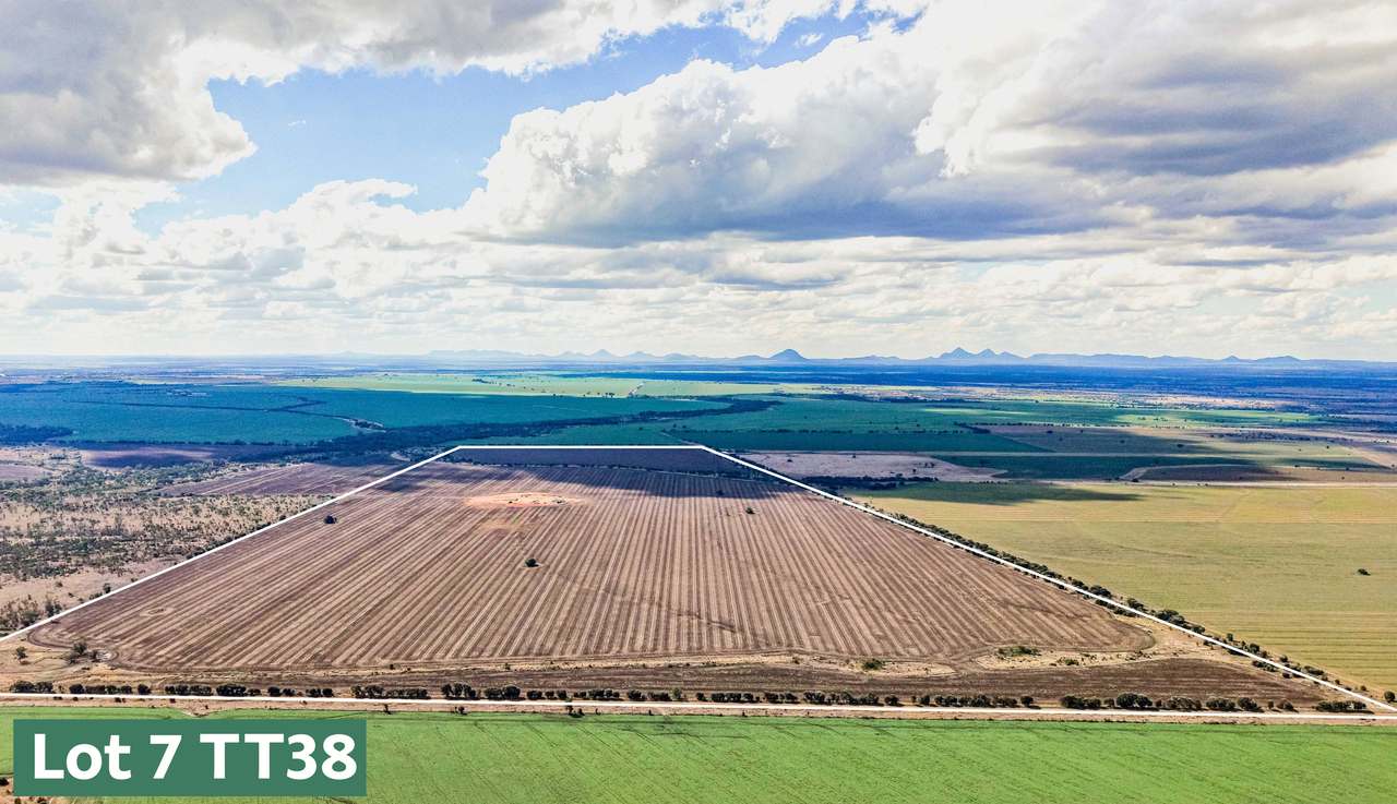 Gregory Highway, Capella Auction by Farmbuy.com - image 20