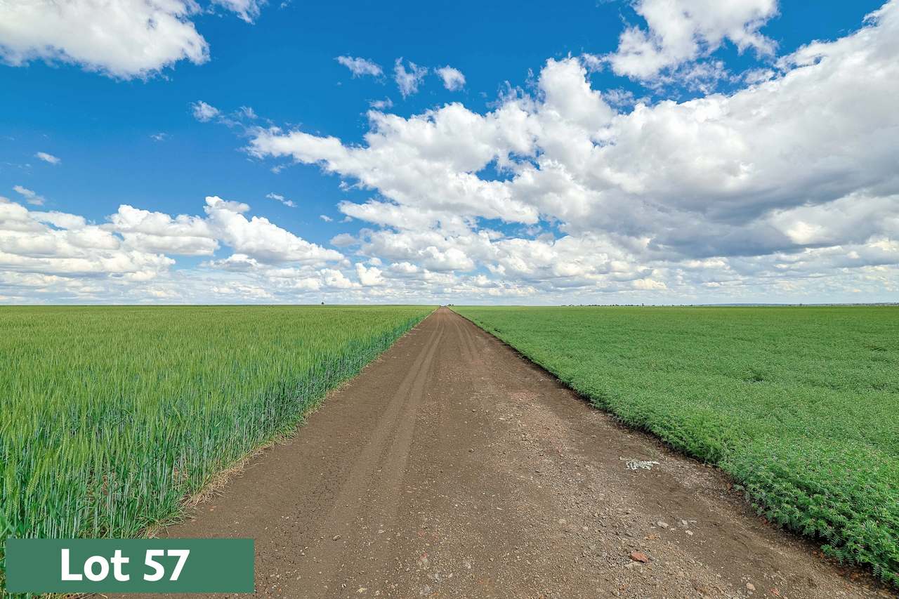 Gregory Highway, Capella Auction by Farmbuy.com - image 6