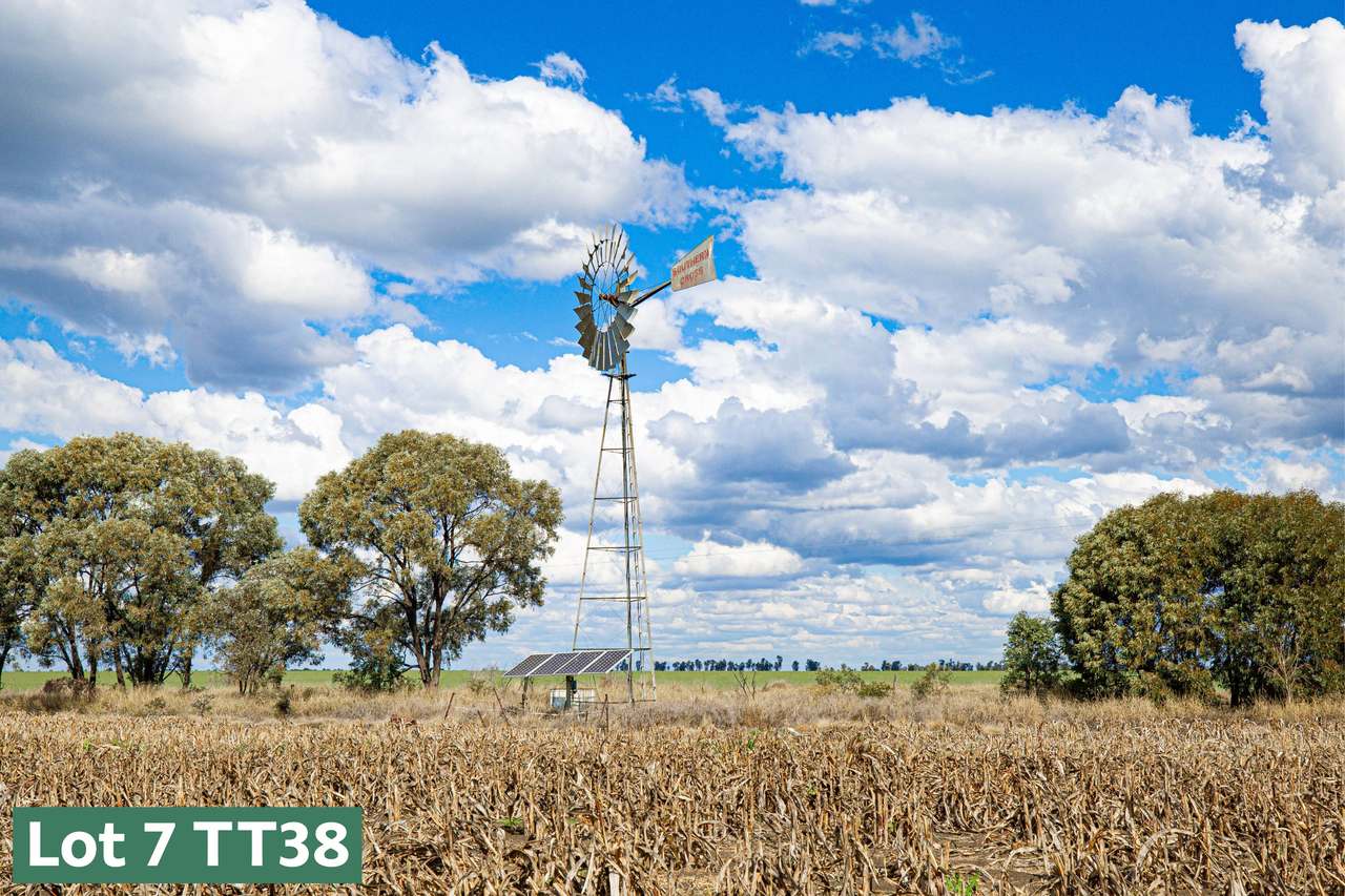 Gregory Highway, Capella Auction by Farmbuy.com - image 22
