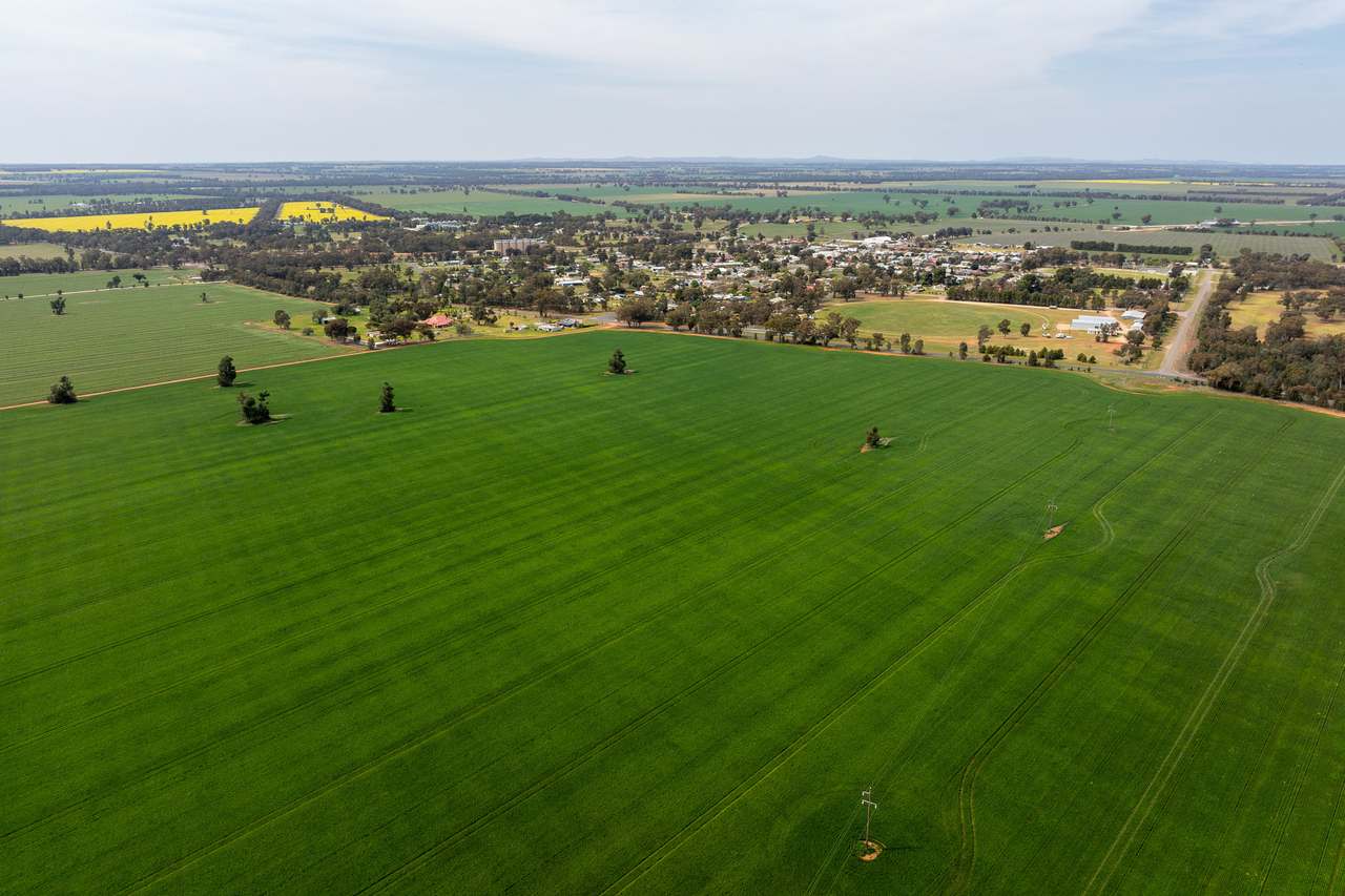 Ariah Park, Beckom, Ardlethan Expressions of Interest by Farmbuy.com - image 14