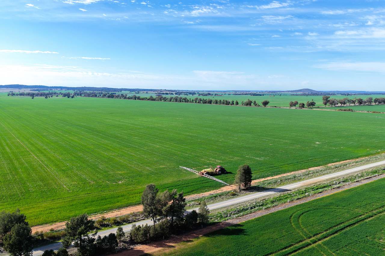 Ariah Park, Beckom, Ardlethan Expressions of Interest by Farmbuy.com - image 3