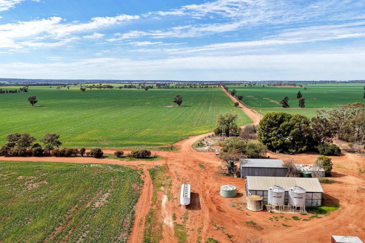 Ariah Park, Beckom, Ardlethan Expressions of Interest by Farmbuy.com - image 8