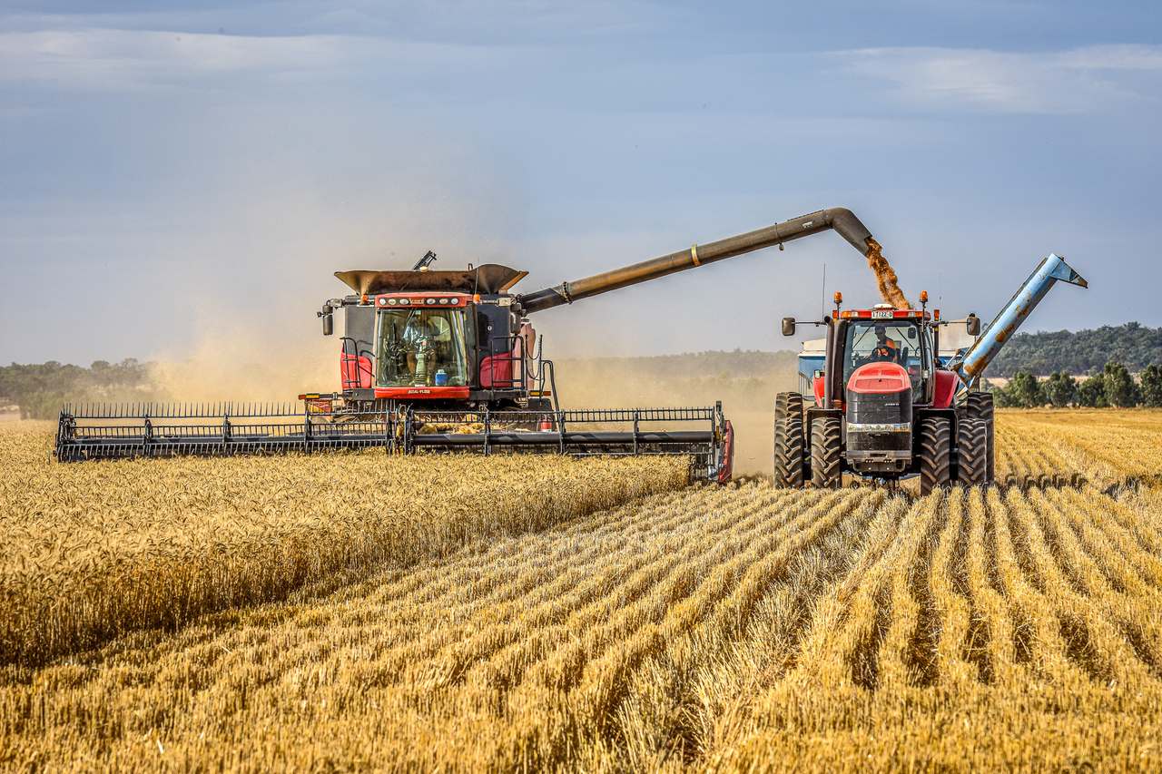 Ariah Park, Beckom, Ardlethan Expressions of Interest by Farmbuy.com - image 5