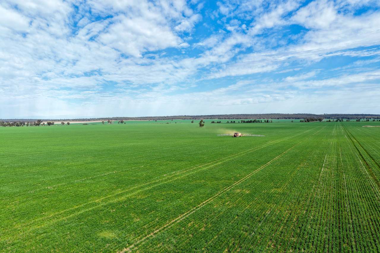 Ariah Park, Beckom, Ardlethan Expressions of Interest by Farmbuy.com - image 4