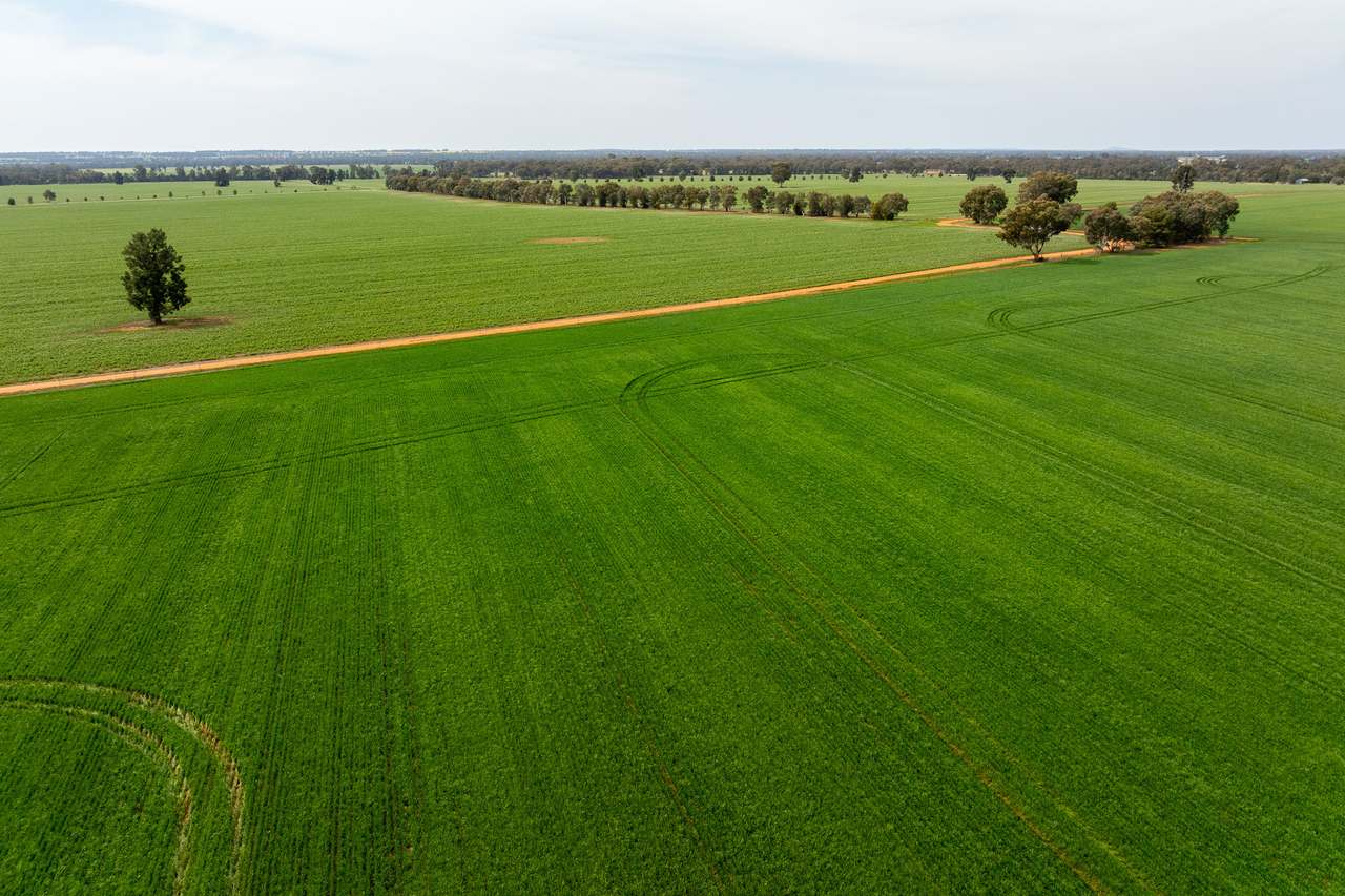 Ariah Park, Beckom, Ardlethan Expressions of Interest by Farmbuy.com - image 15