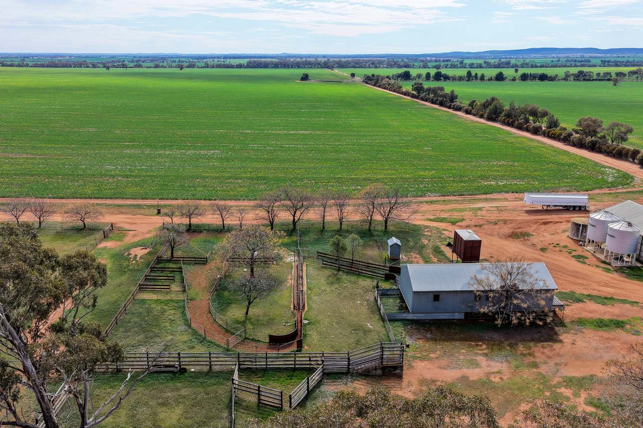 Ariah Park, Beckom, Ardlethan Expressions of Interest by Farmbuy.com - image 9