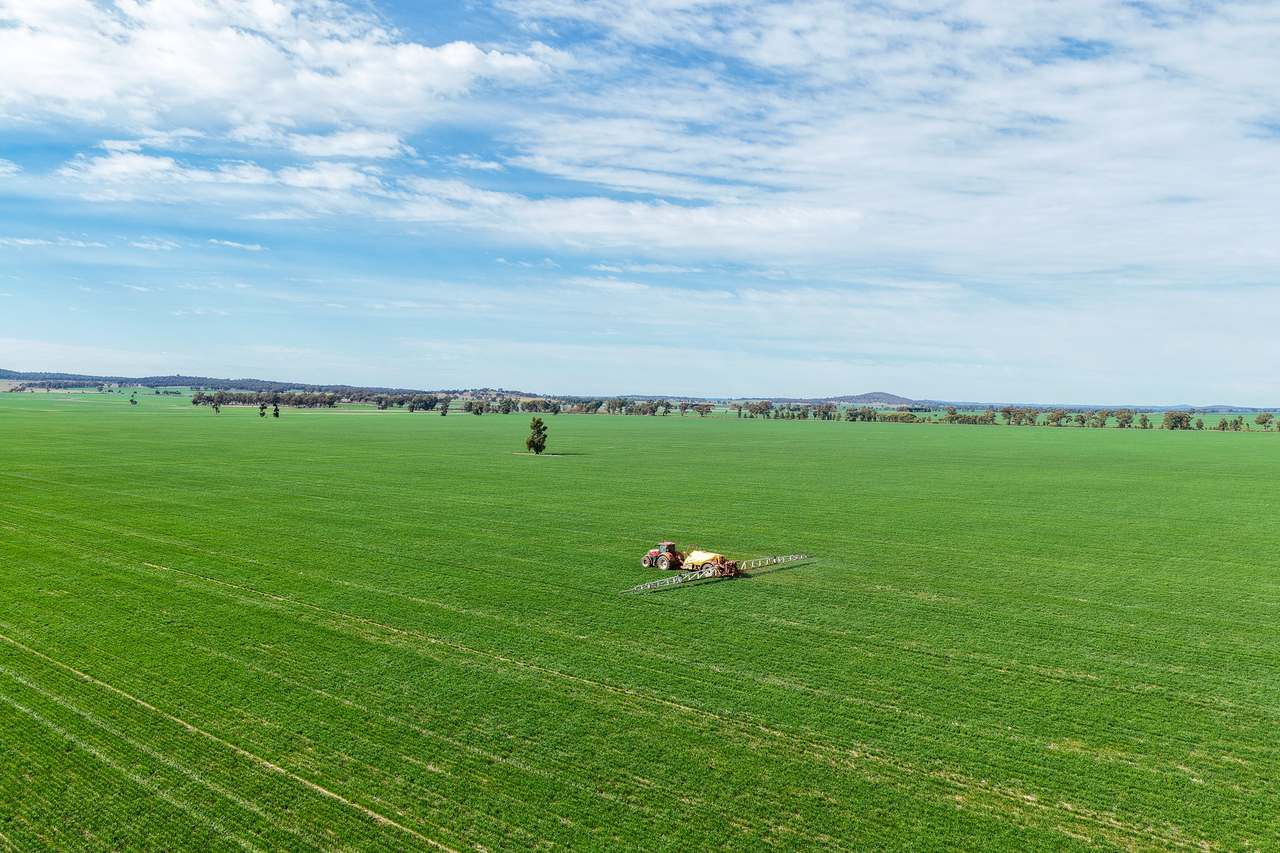 Ariah Park, Beckom, Ardlethan Expressions of Interest by Farmbuy.com - image 1