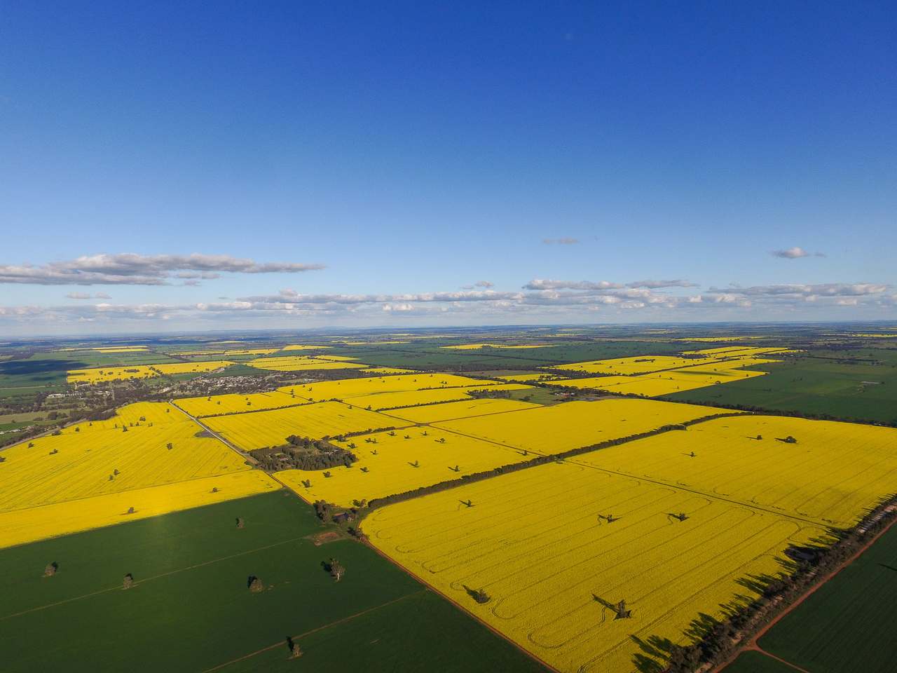 Ariah Park, Beckom, Ardlethan Expressions of Interest by Farmbuy.com - image 11