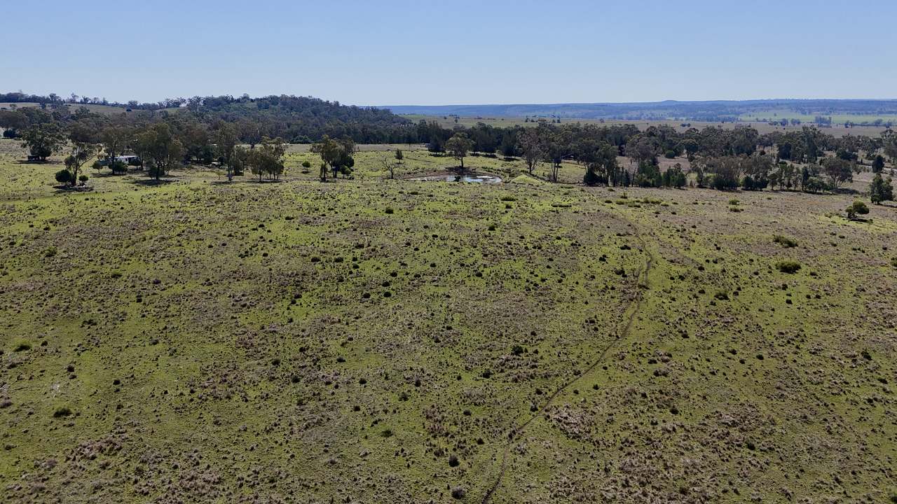 1385 Mosquito Creek Road, Warialda For Sale by Farmbuy.com - image 9