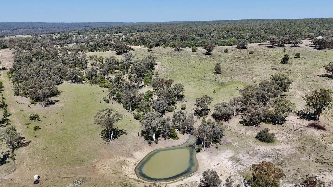 1385 Mosquito Creek Road, Warialda For Sale by Farmbuy.com - image 5