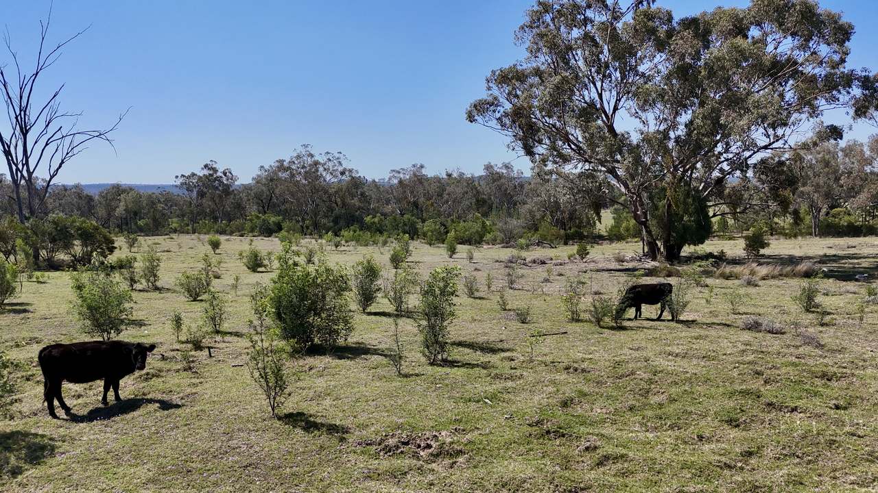 1385 Mosquito Creek Road, Warialda For Sale by Farmbuy.com - image 8