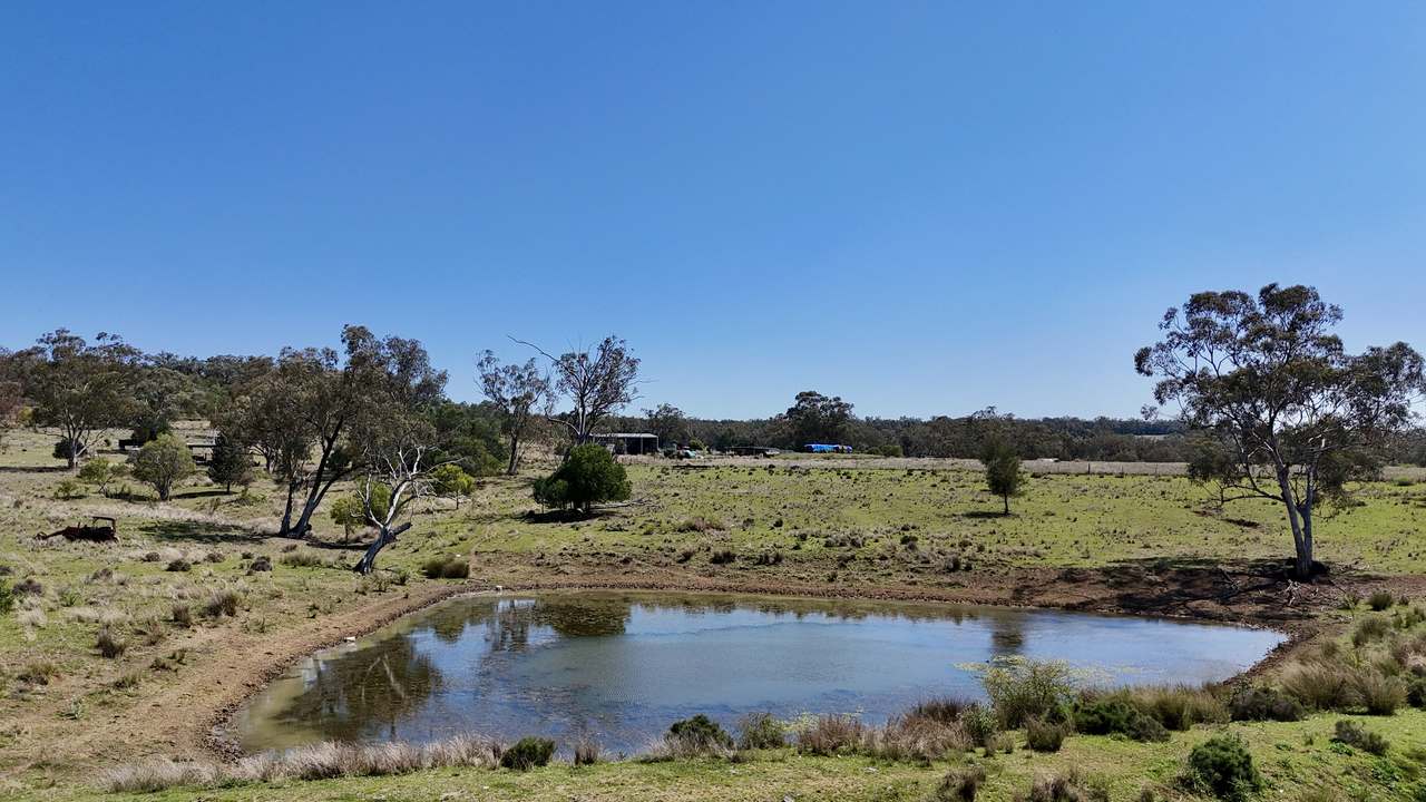 1385 Mosquito Creek Road, Warialda For Sale by Farmbuy.com - image 1