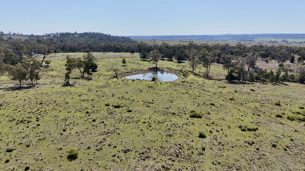 1385 Mosquito Creek Road, Warialda For Sale by Farmbuy.com - image 10