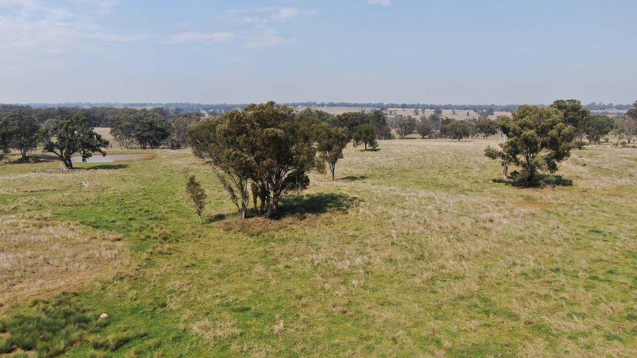 2200 Ashford Road, Bukkulla For Sale by Farmbuy.com - image 21