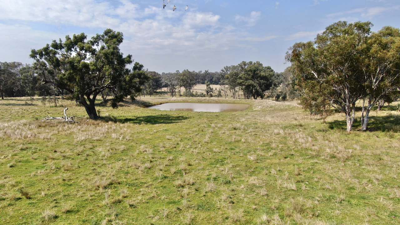 2200 Ashford Road, Bukkulla For Sale by Farmbuy.com - image 22