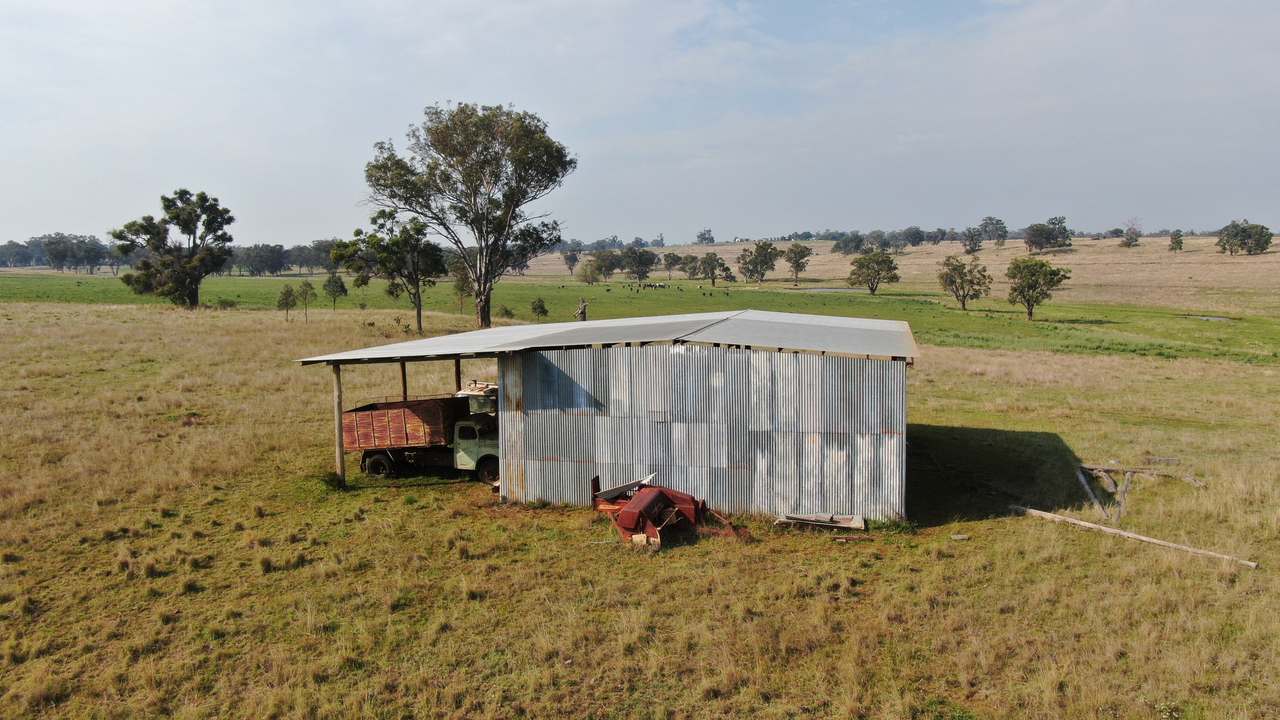 2200 Ashford Road, Bukkulla For Sale by Farmbuy.com - image 15