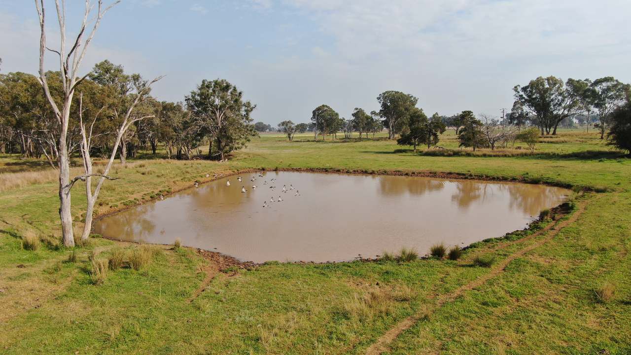 2200 Ashford Road, Bukkulla For Sale by Farmbuy.com - image 9