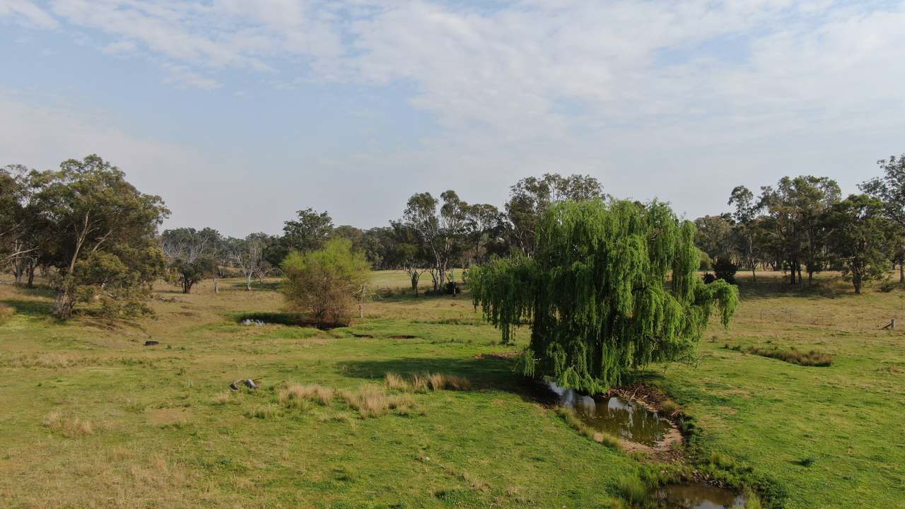 2200 Ashford Road, Bukkulla For Sale by Farmbuy.com - image 17