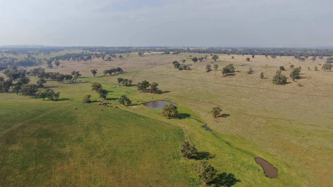 2200 Ashford Road, Bukkulla For Sale by Farmbuy.com - image 18