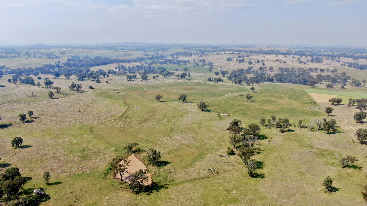 2200 Ashford Road, Bukkulla For Sale by Farmbuy.com - image 19