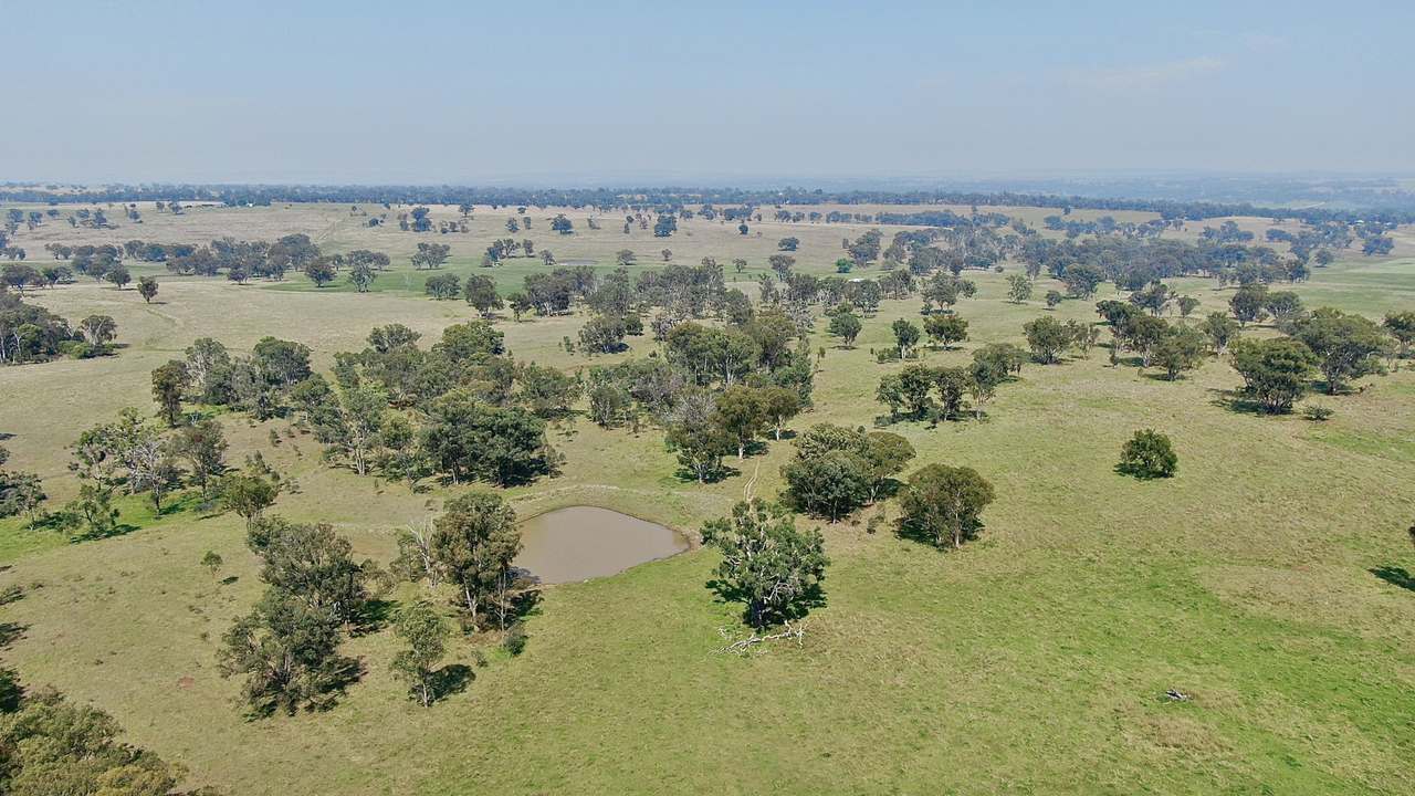 2200 Ashford Road, Bukkulla For Sale by Farmbuy.com - image 23