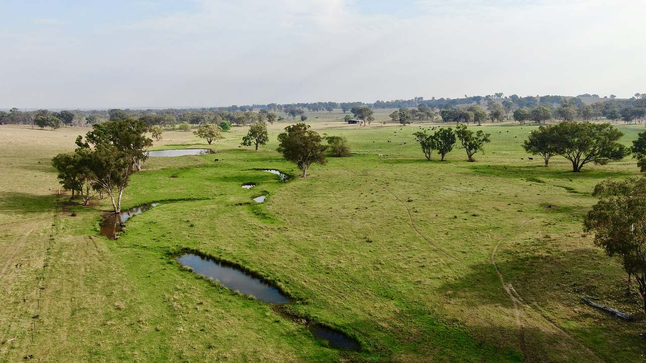 2200 Ashford Road, Bukkulla For Sale by Farmbuy.com - image 3