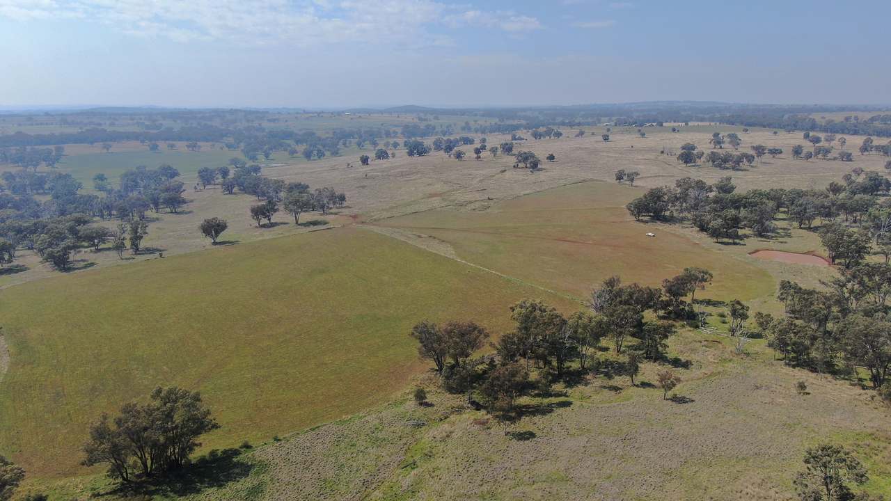 2200 Ashford Road, Bukkulla For Sale by Farmbuy.com - image 20